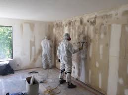 Chicago, IL Mold Removal Company